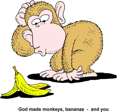 Silly Monkey - Silly Monkey (400x383)