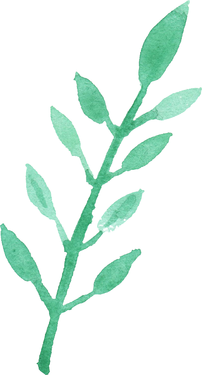 Free Download - Twig (647x1201)
