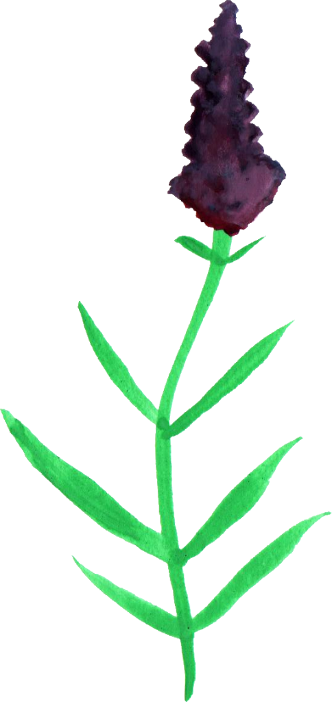 Png File Size - Transparency (484x1024)