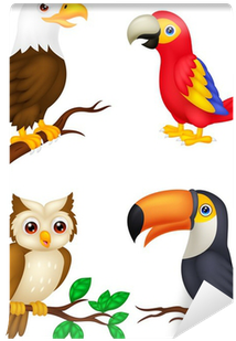 Imagenes De Aves Animadas (400x400)