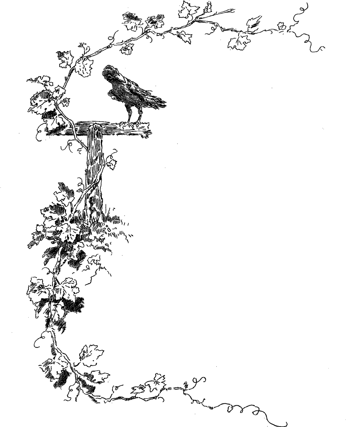 Crow Frame Png (1166x1600)