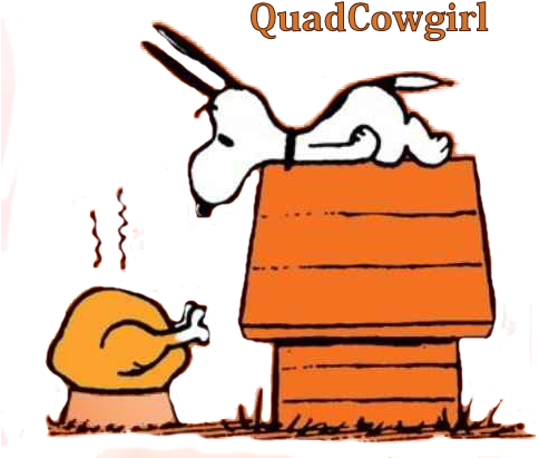Snoopy Peanuts - Cartoon (500x427)