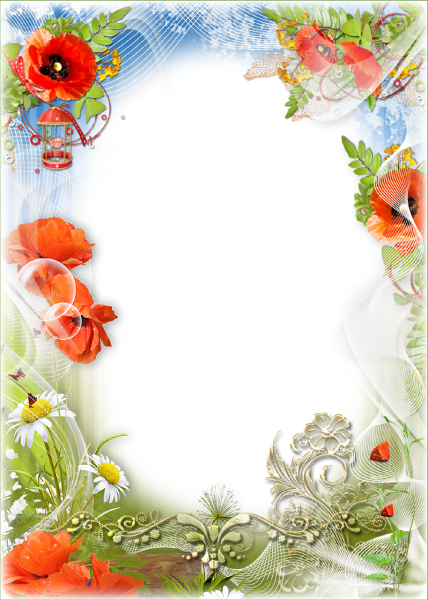 Transparent Png Frames - Transparent Png Frames (856x1200)