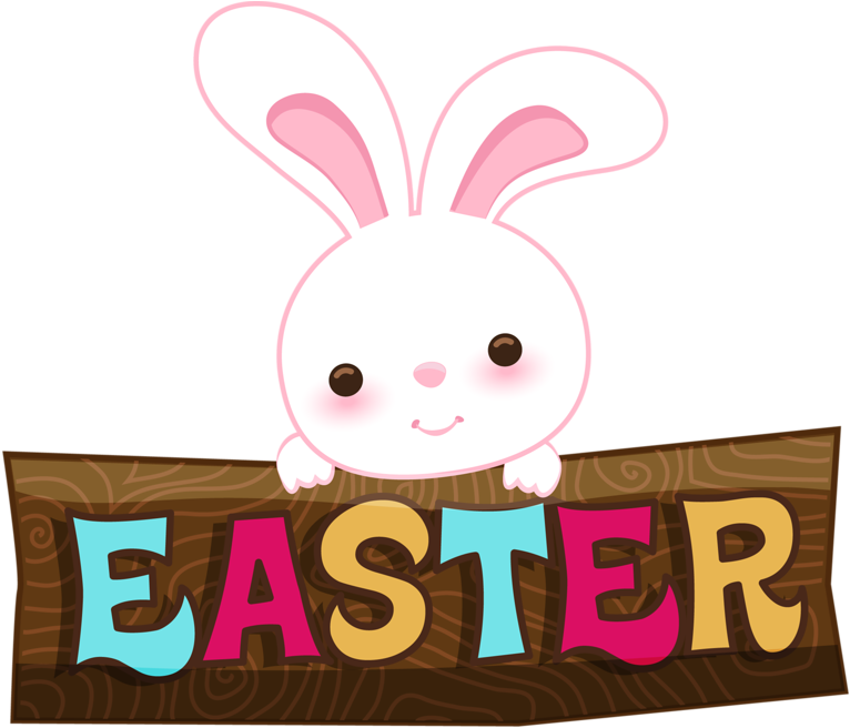 Domestic Rabbit (800x679)
