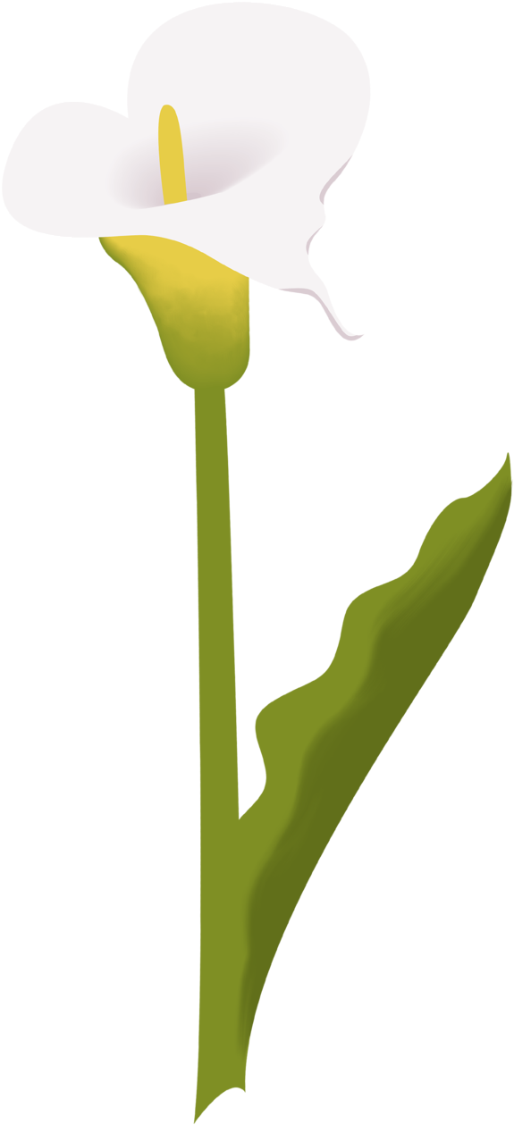 Icon (596x1280)