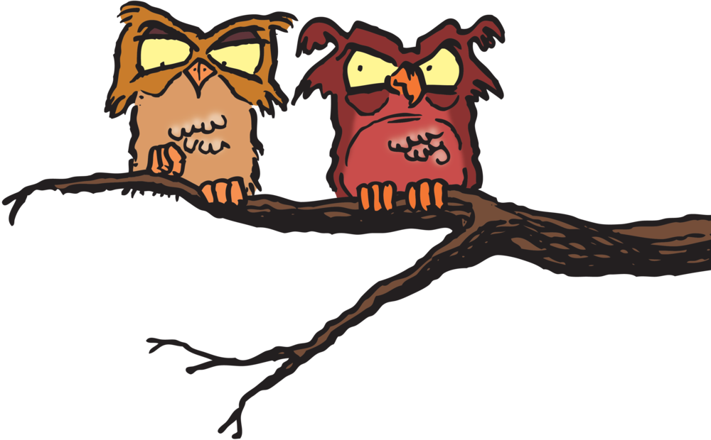 Two Owls - Cartoon (1000x620)