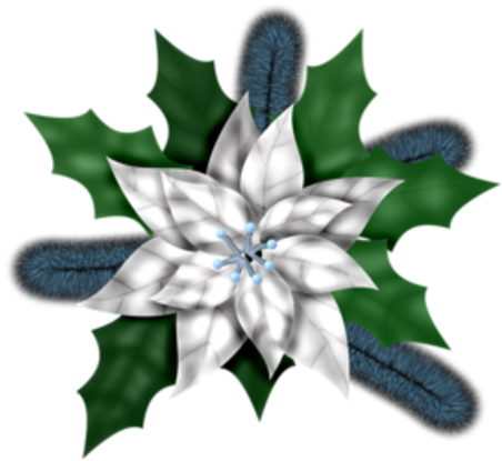 Fleurs De Noël / - Illustration (500x500)