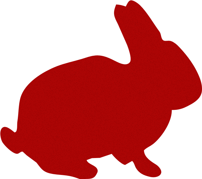 Bunny - Rabbit (800x600)