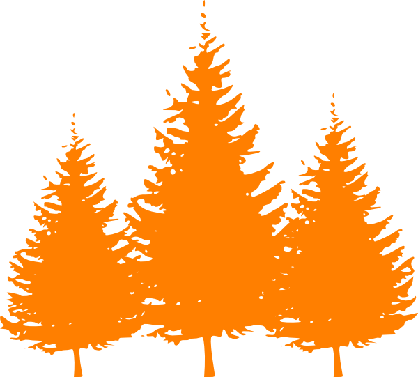 Kids Roomtreesroom - Pine Tree Silhouette Vector (600x541)