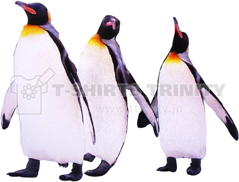 前面（デザイン） - Emperor Penguin (480x480)