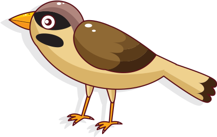 Bird Parrot Clip Art - Vector Graphics (500x500)