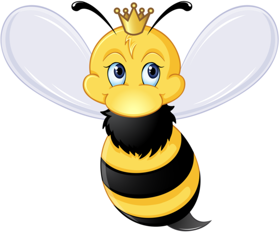 Clip Art (800x630)