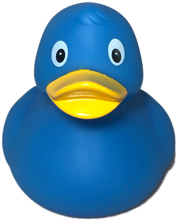 Duck (500x500)