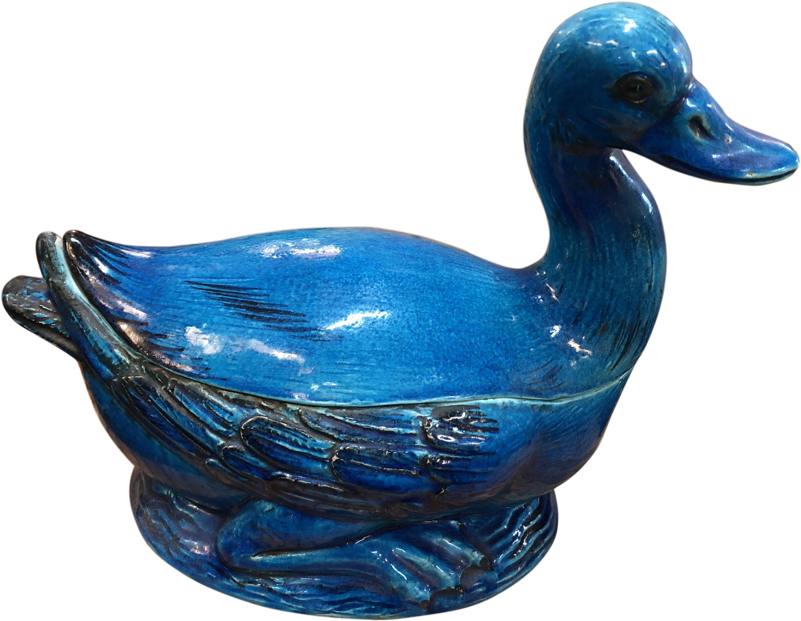 Mallard (3663x2843)