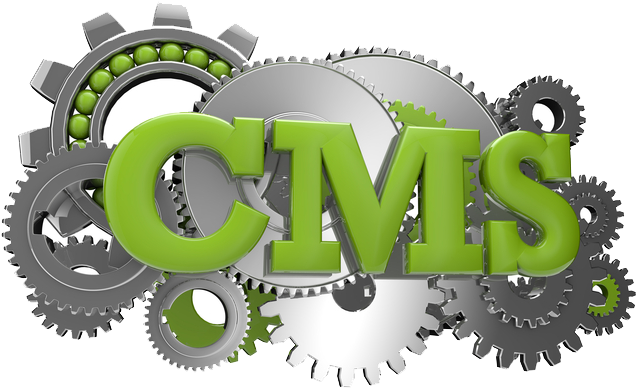 Content Management System - Wordpress For Beginners: How To Quickly Set Your Own (654x409)