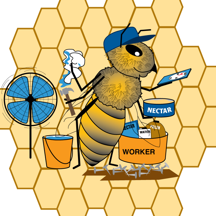 Worker - Worker (720x720)