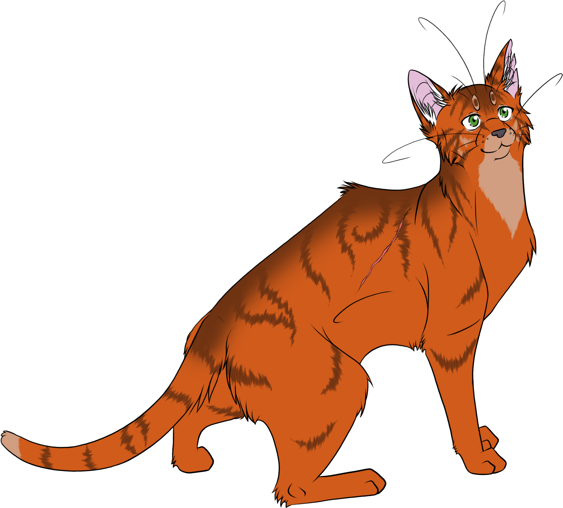 Warrior Cats - Firestar (2000x2000)
