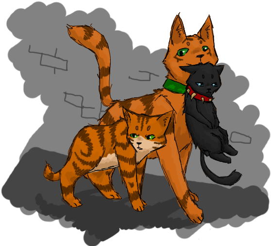 'now Be Nice, Firepaw - Fire Paw (700x550)