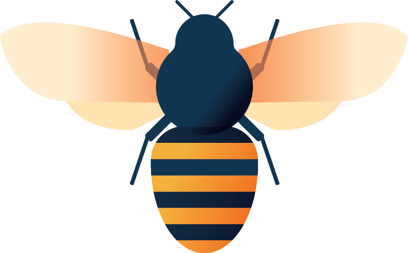 Bee Sting Allergy - Net-winged Insects (835x519)