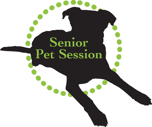 Gift Certificate For A Senior Pet Session - Monogram (607x506)