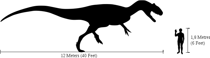 New Data For Old Bones - Allosaurus Size Comparison (730x205)