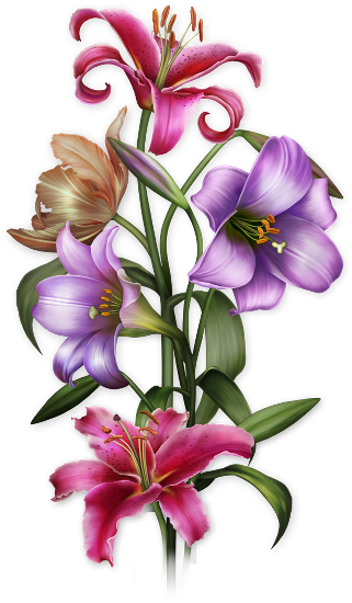 Flower (321x550)