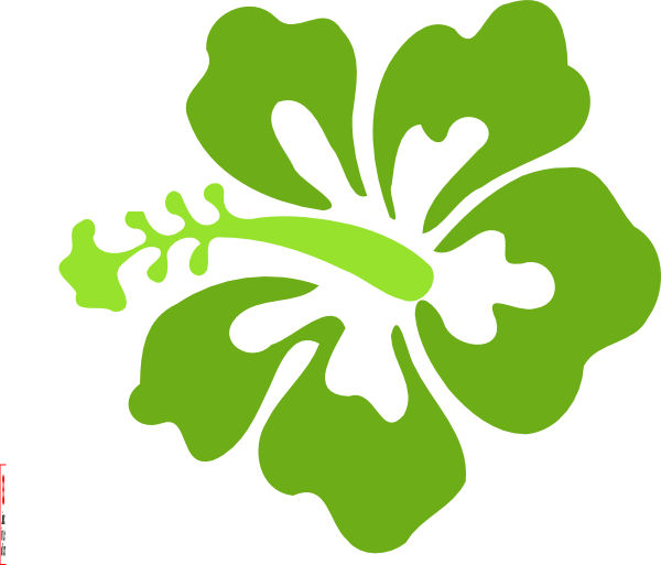 Hibiscus Clip Art (600x513)