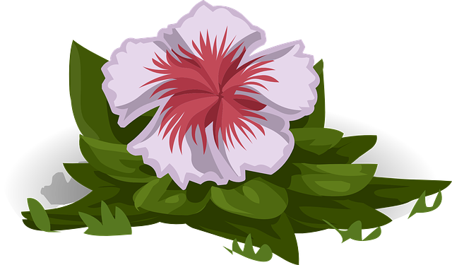 Explore Free Vector Graphics, Vector Vector And More - Red (640x375)