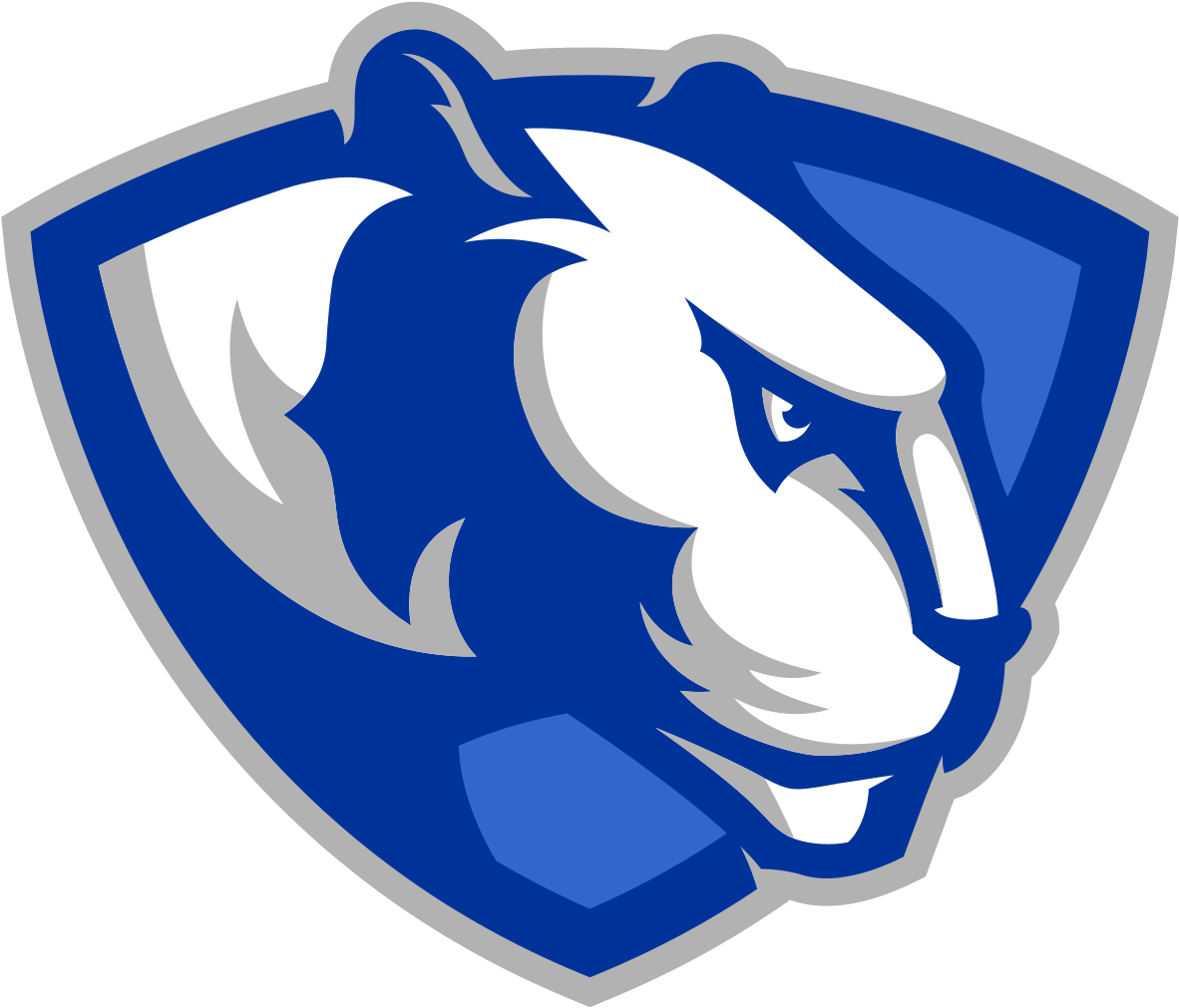 Eastern Illinois Panthers (1200x1029)