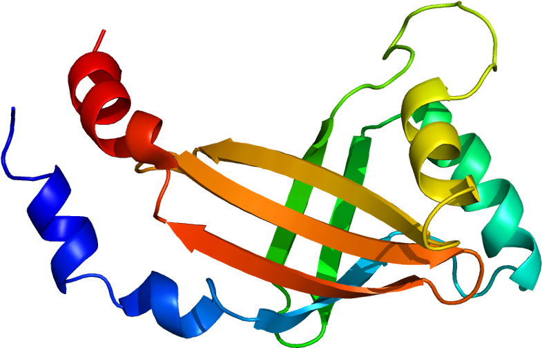 Clip Art (834x553)