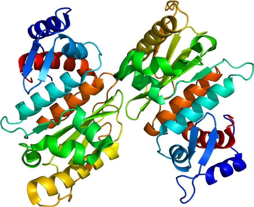 Senp1 (925x763)