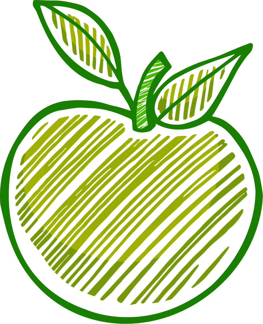 Vector Line Drawing Apples - Vector Line Drawing Apples (911x1124)