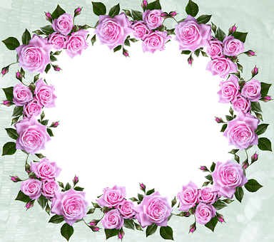 Frame, Border, Roses, Pattern, Decorative - Border (384x340)