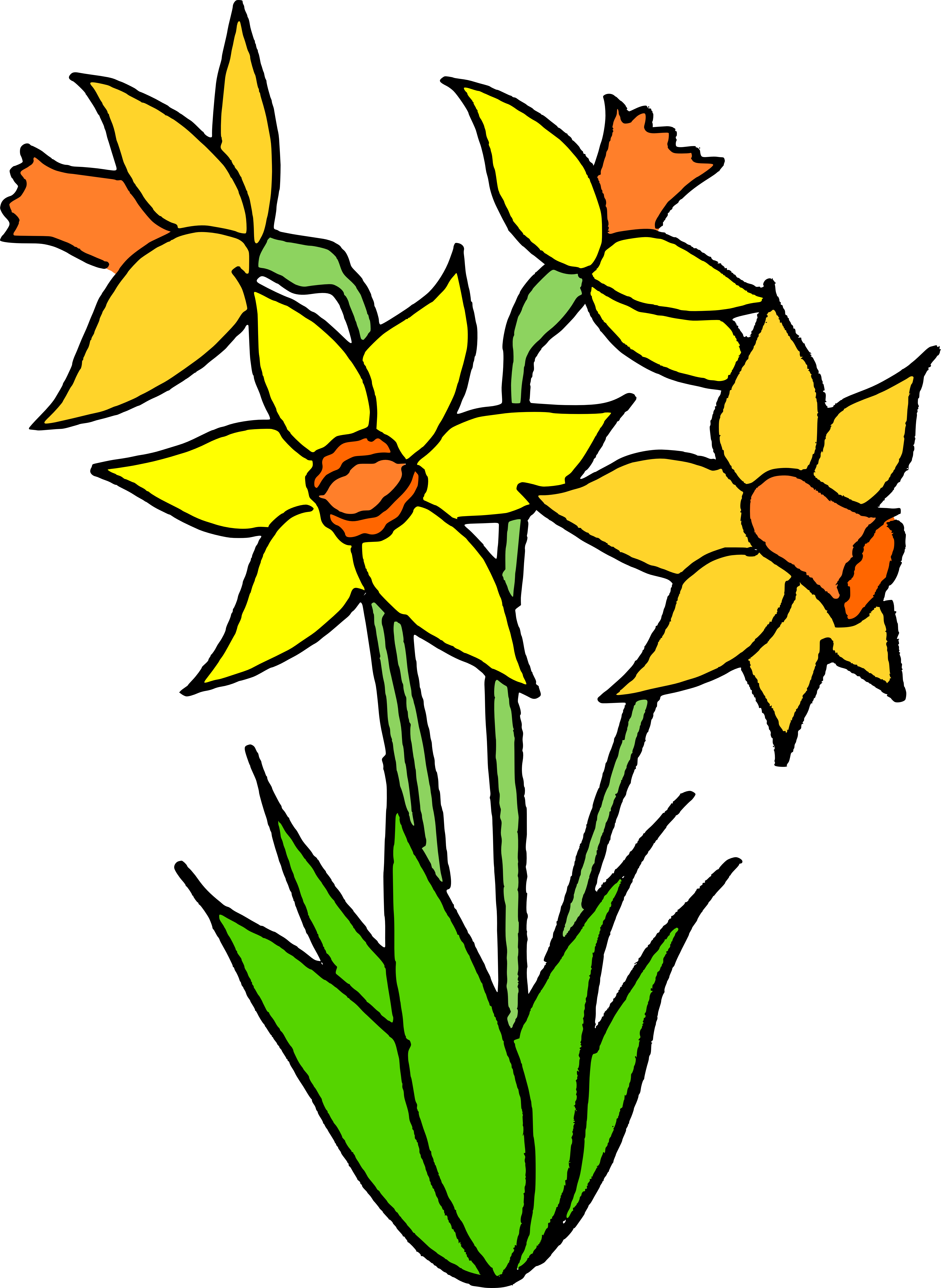 Daffodils - Daffodils (5389x7380)