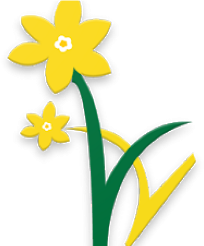 Daffodils Clipart Google - Parent (640x480)