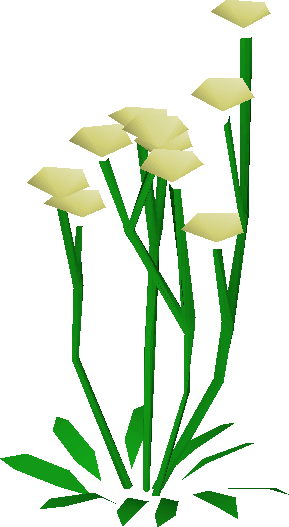 Daffodils Built - Daffodils Built (289x527)