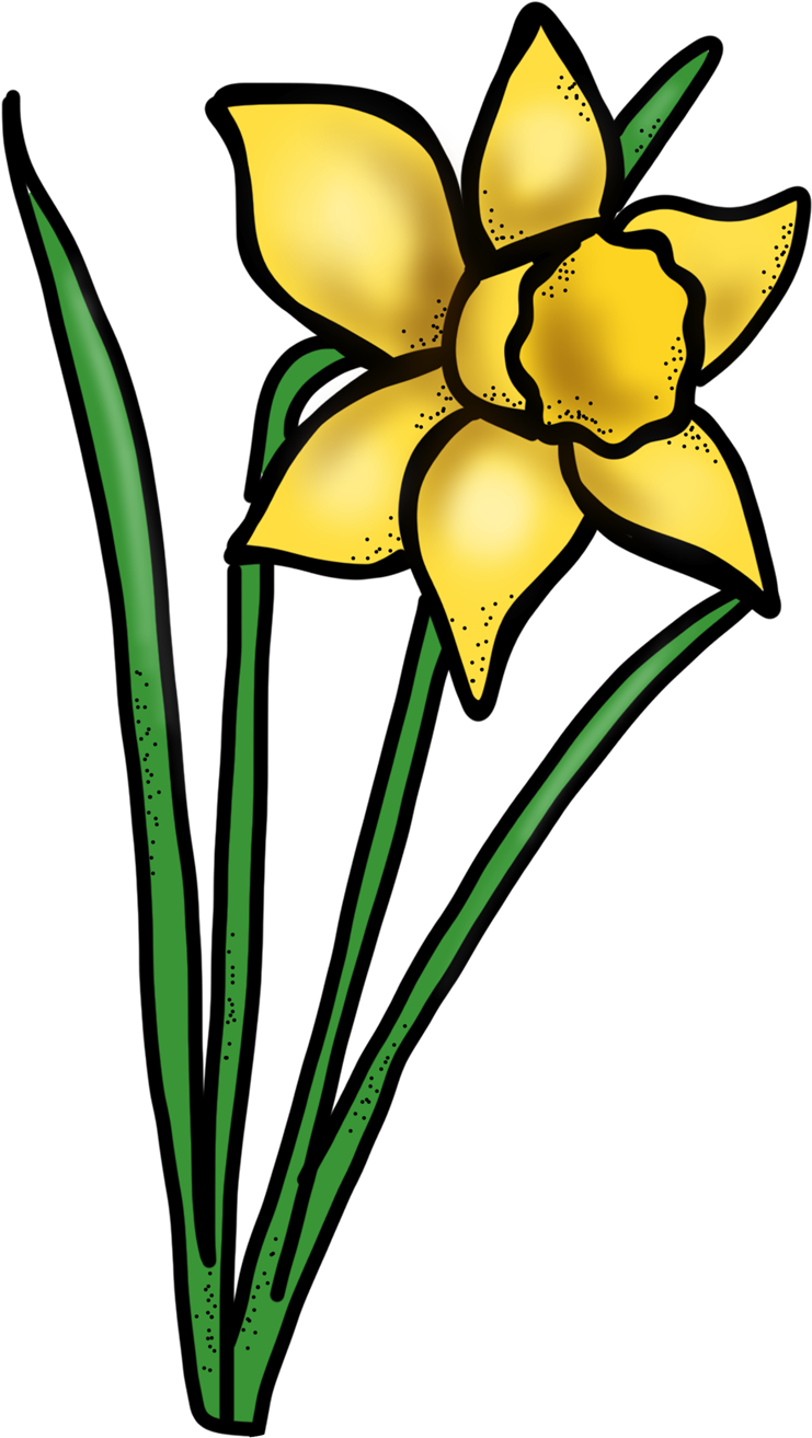Aschenbrenner, Kate - Garden (750x1334)
