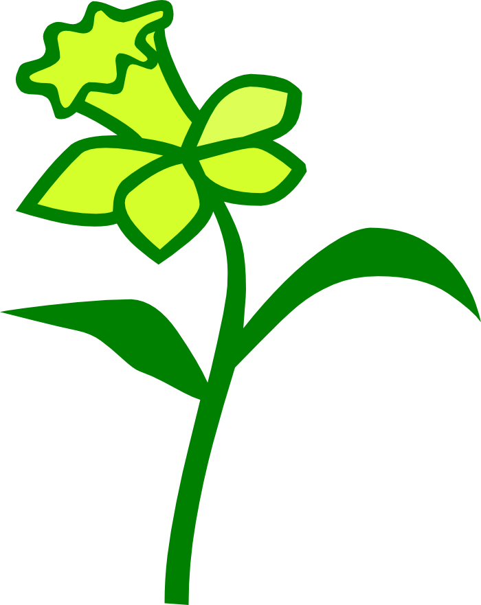 Daffodil Svg - Daffodil Svg (700x881)