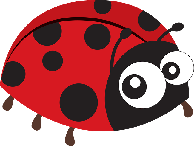 Joaninhas - Minus - Lpladybugsspring - Ladybug (650x490)