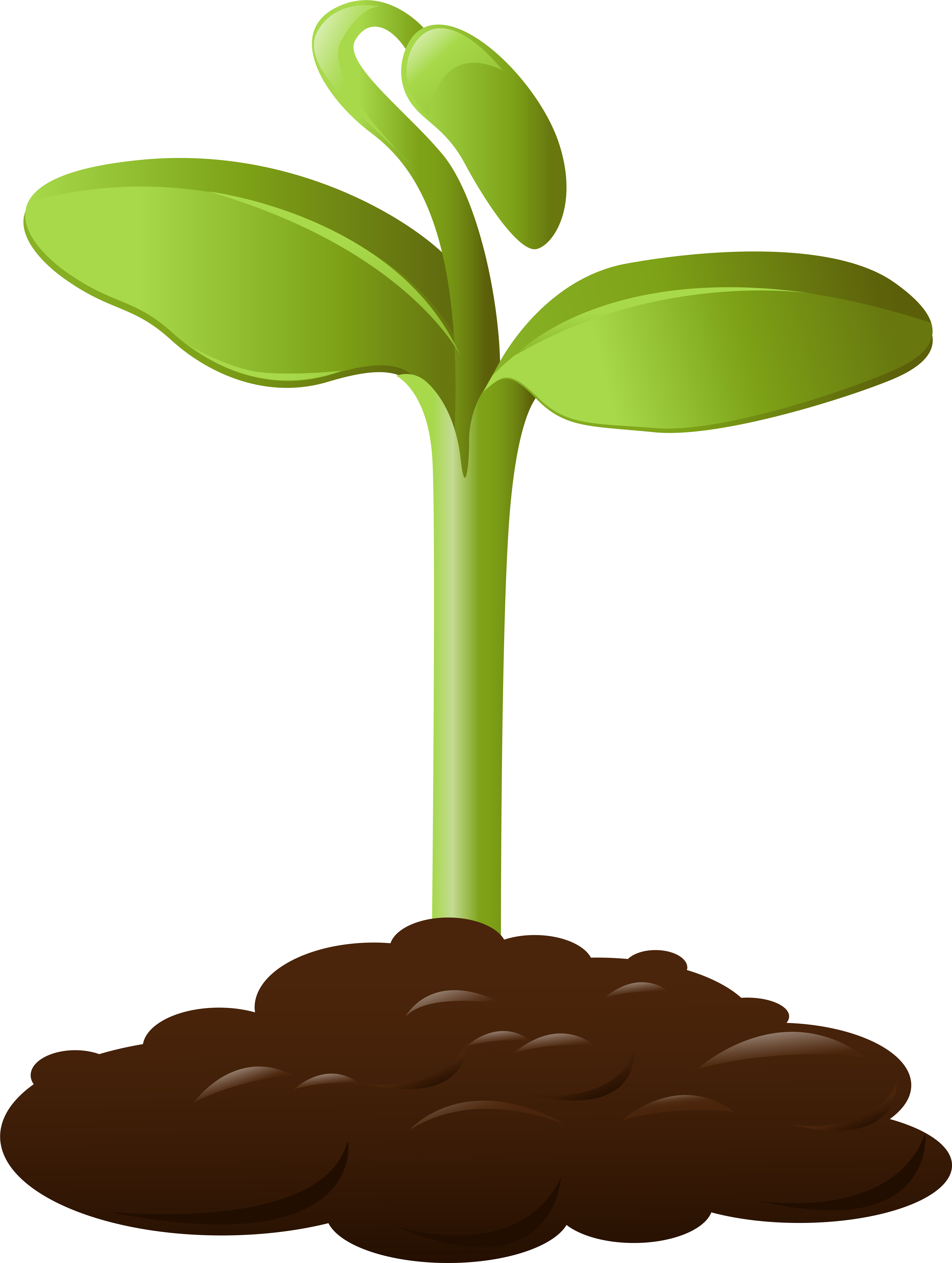 0, - Crops Clipart Transparent Background (6114x8005)