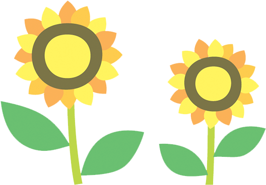 Flowers - Portable Network Graphics (588x588)