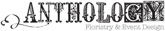 Anthology Co - - Design (900x144)