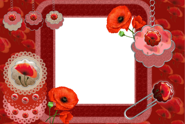 Cadre - Garden Roses (600x403)