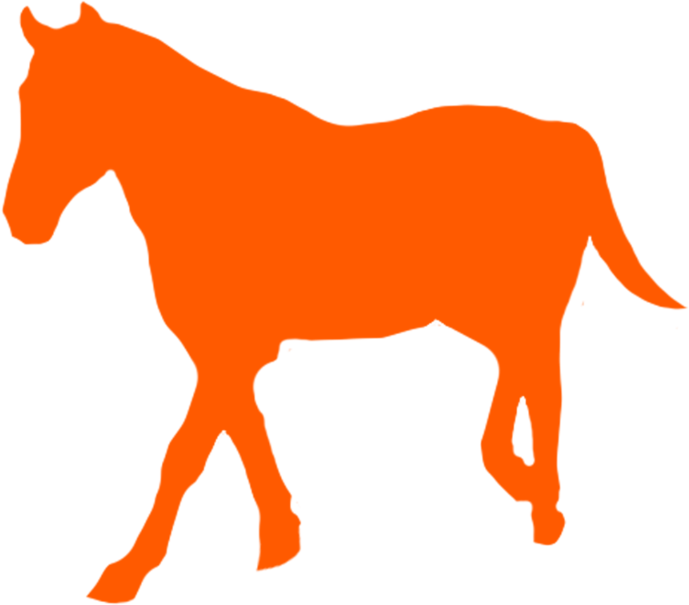 Horse Show Clip Art (1000x893)