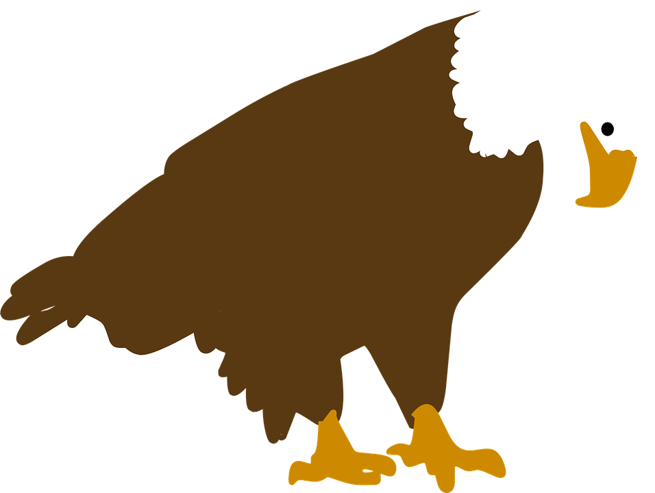 Camel Cliparts 25, - Vector Graphics (1280x964)