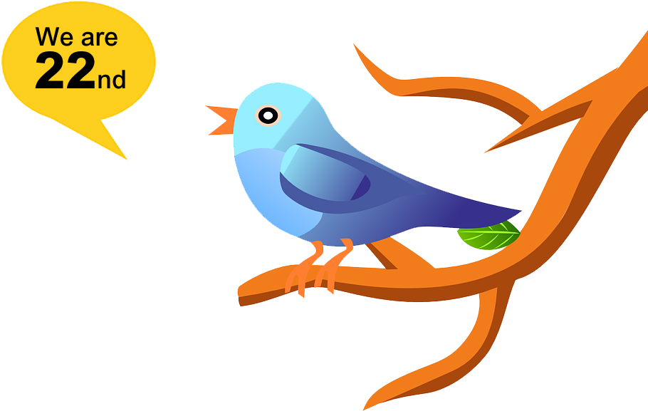 Tweet - Bird (940x604)