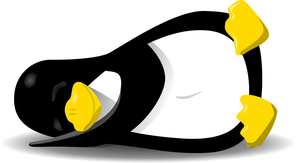 King Penguin Clipart Linux - Linux Tux (960x529)