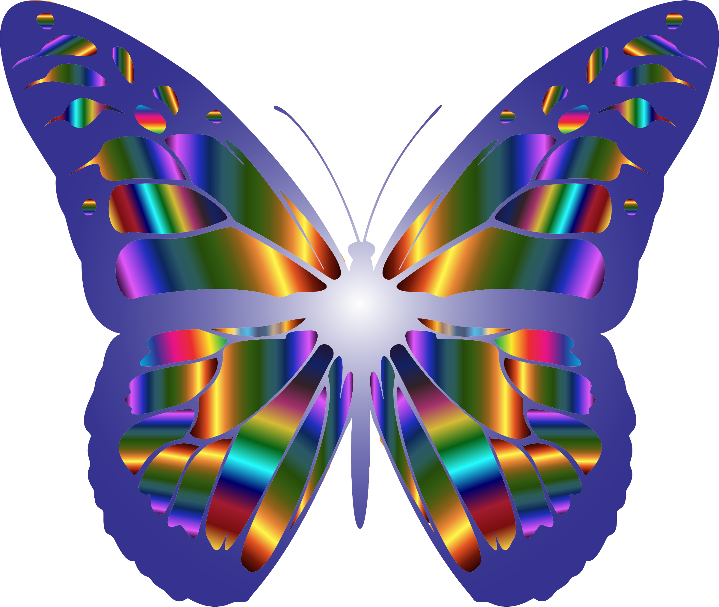 Decorative Art Picture - Iridescent Monarch Butterfly 15 Totes (2400x2028)