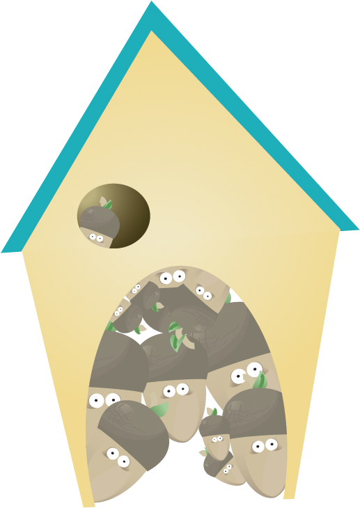 House (535x735)