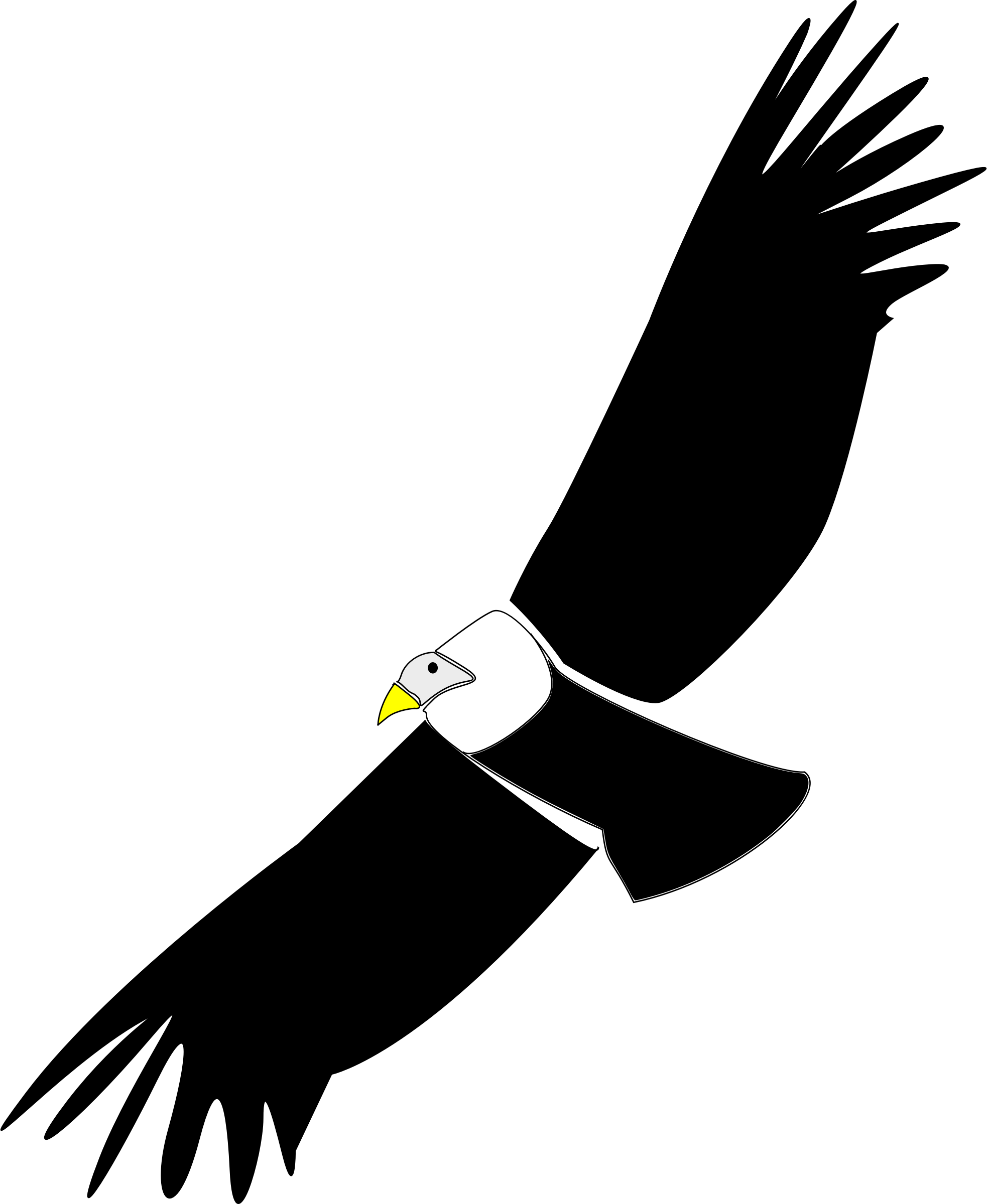 Condor Clipart (1966x2400)